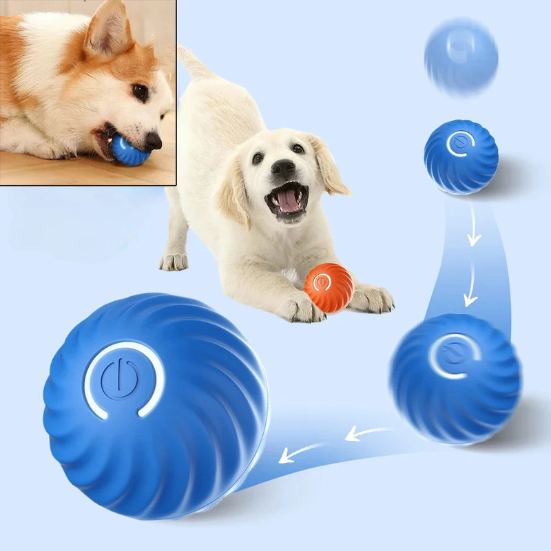 SmartPet Ball