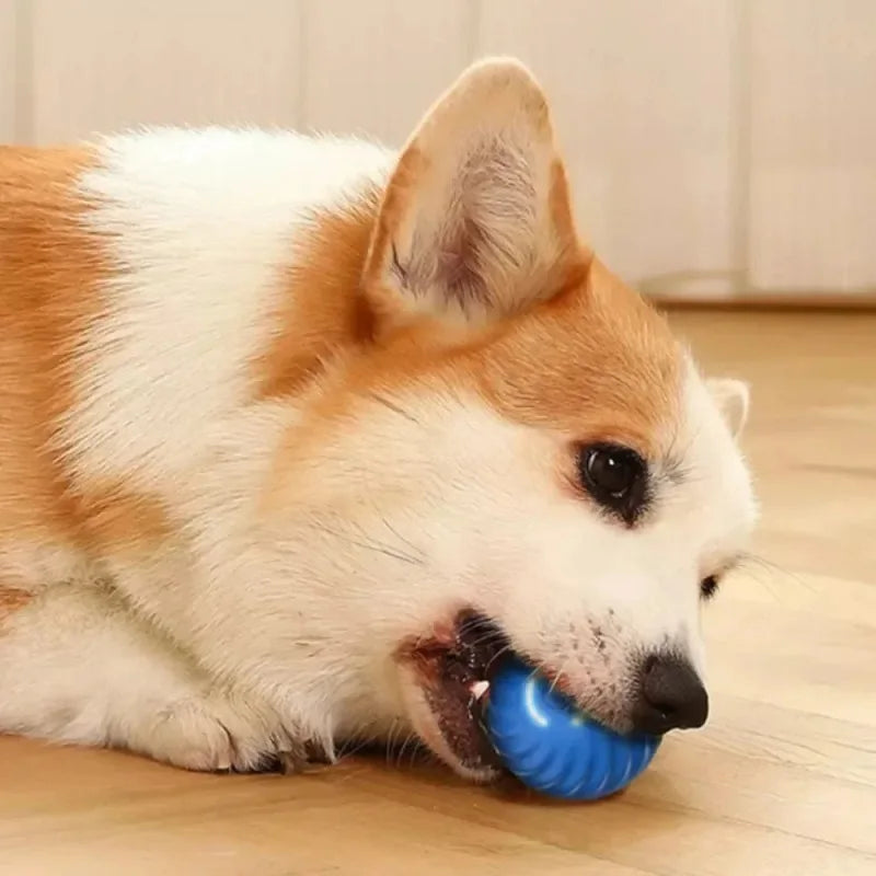 SmartPet Ball