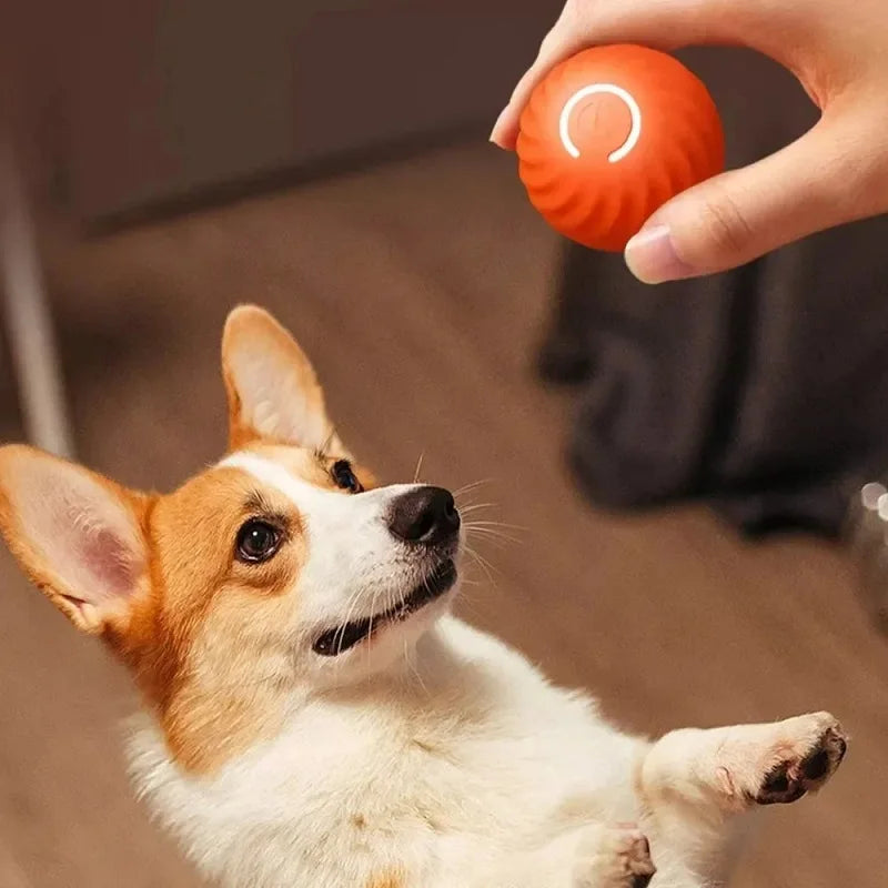 SmartPet Ball